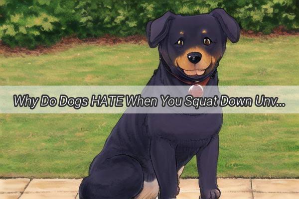 Why Do Dogs HATE When You Squat Down Unveiling the Surprising Truth